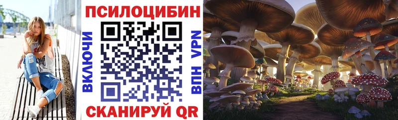 Галлюциногенные грибы GOLDEN TEACHER  Бугульма 